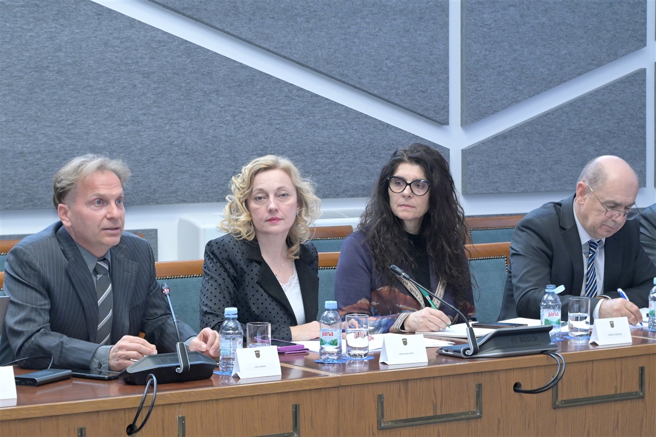 U organizaciji zastupnice Petir održan Okrugli stol o zabrani bučne pirotehnike 1